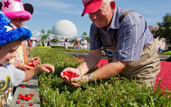 No festival você encontra de estandes com comidas típicas de vários países do mundo a eventos especializados, até com chefs renomados!