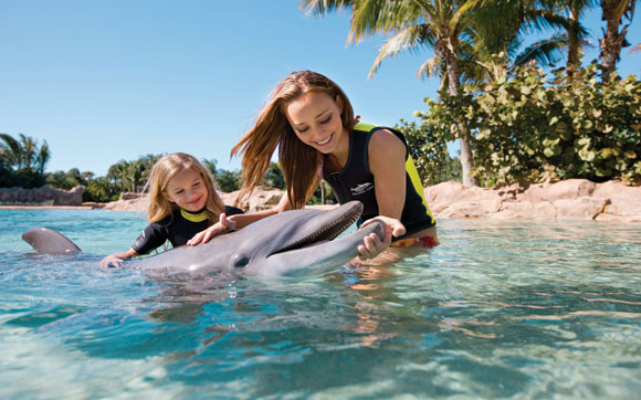 Dolpin Lagoon Na Dolphin Lagoon, passe meia hora com um golfinho na sua frente, nadando, fazendo truques e te dando carona - com direito a beijo! Fica no parque Discovery Cove, em Orlando.
