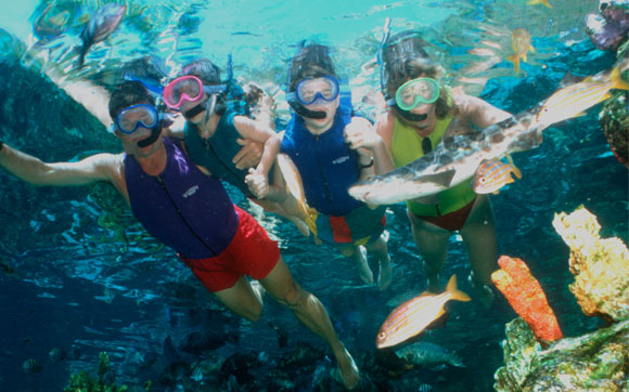 Peixes, arraias e tubarões esperam por você num mergulho pelo Shark Reef. Fica no parque Typhoon Lagoon, em Orlando.