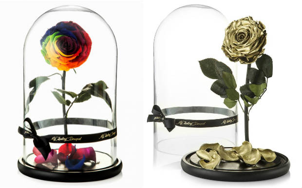 Agora você pode comprar uma rosa encantada como a de A Bela e a Fera! |  Capricho