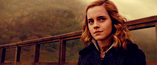 Hermione Granger aniversário