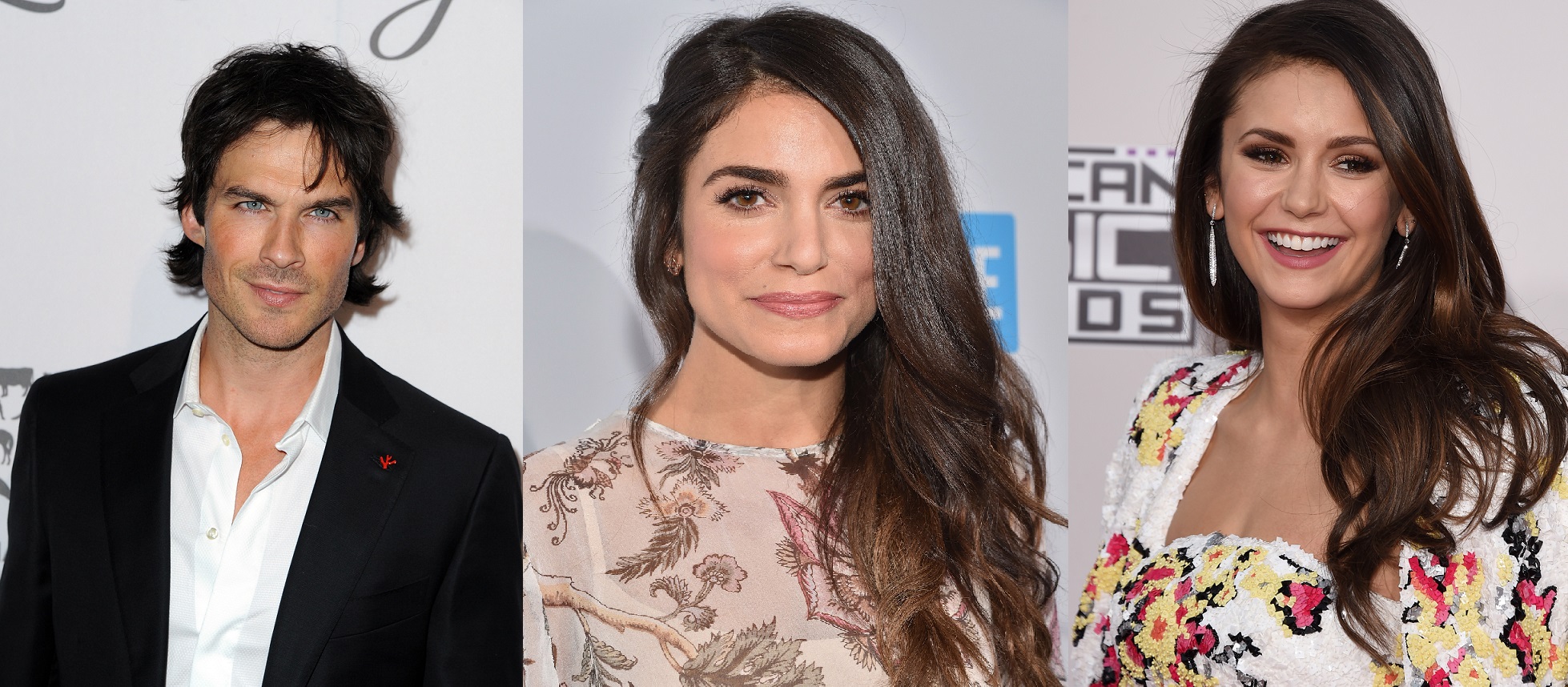 The Humane Society Of The United States' To The Rescue Gala - Red Carpet (Getty Images)