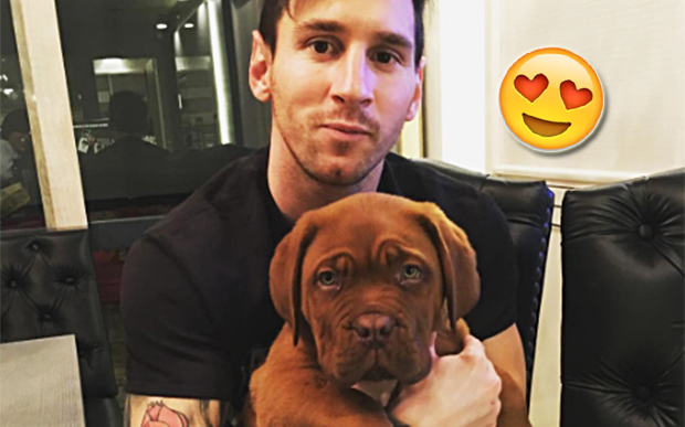 Lionel Messi cachorro gigante