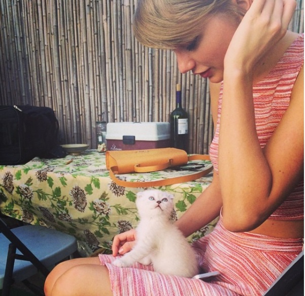 motivos-taylor-swift-melhor-solteira-com-gatinho Taylor Swift brincando com gatinho de estimação