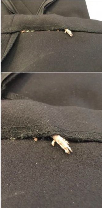 Internauta divulgou que restos de rato foram encontrados em costura de vestido. Eca! Foto: