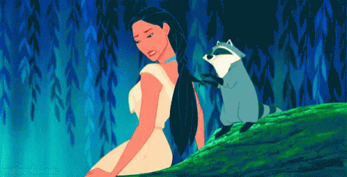GIF de uma cena do filme Pocahontas com um guaxinim fazendo uma trança no cabelo da princesa.