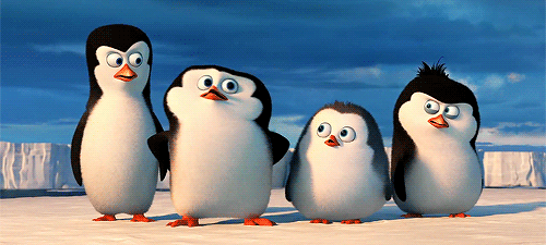 baby-madagascar-penguins