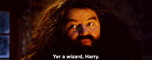 you-re-a-wizard-hagrid