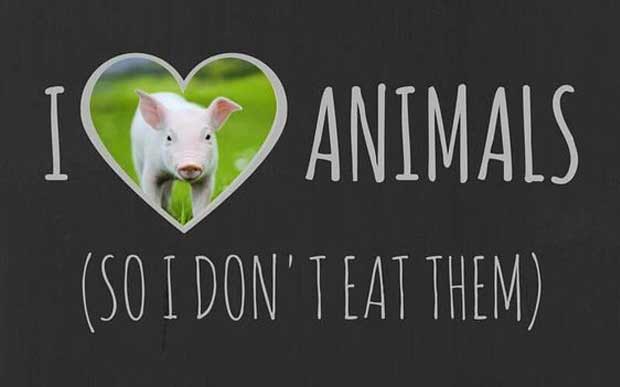 veganismo-3 Imagem: Repdodução/ Mercy For Animals