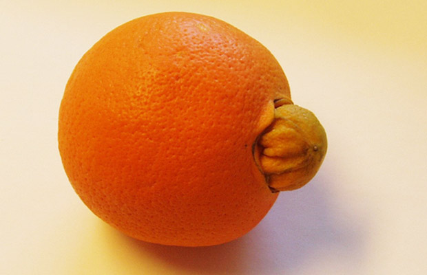 umbigo_laranja umbigo_laranja