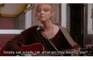 smelly-cat smelly-cat