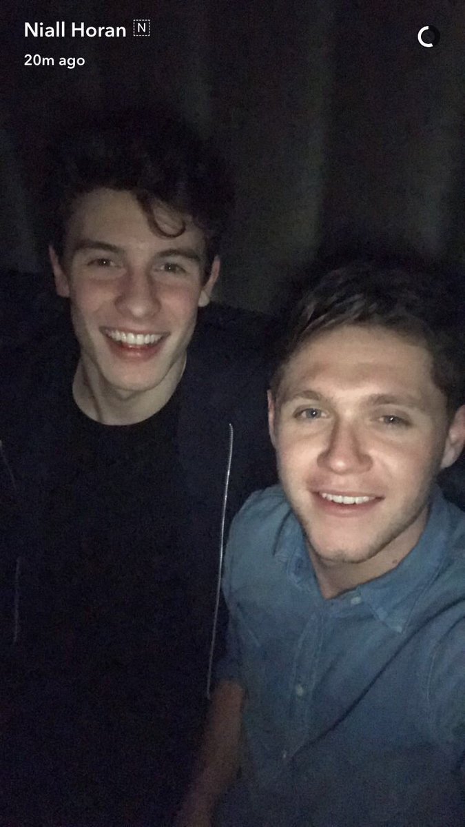 niall-horan-shawn-mendes-snapchat (Reprodução)
