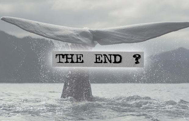 Blue Whale: o jogo do suicídio que está se tornando um viral
