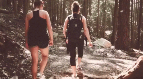 duas mulheres andando na floresta