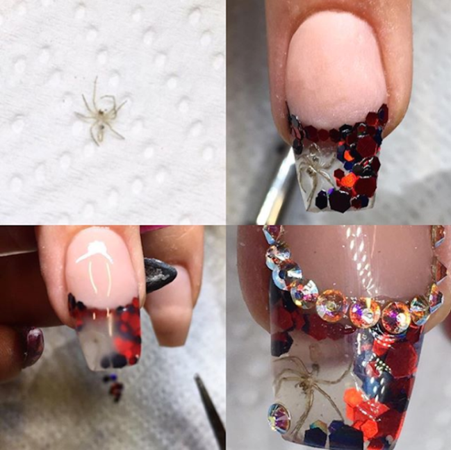 nail-arte-insetos