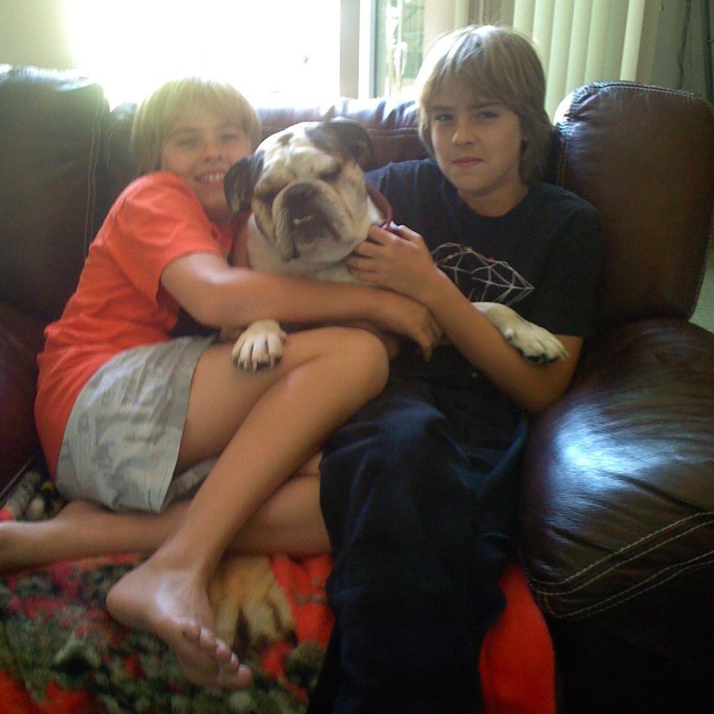 dylan-cole-sprouse-cachorro-morreu
