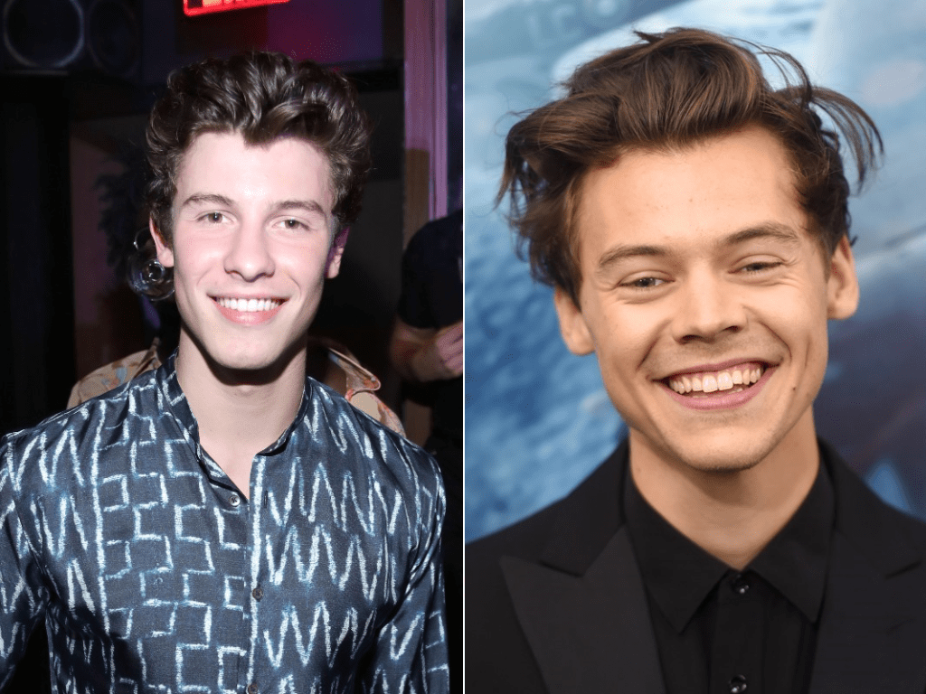 shawn-mendes-curte-show-harry-styles-canada