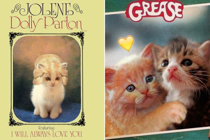 Capas de álbuns clássicos são recriadas com gatinhos. Awn!