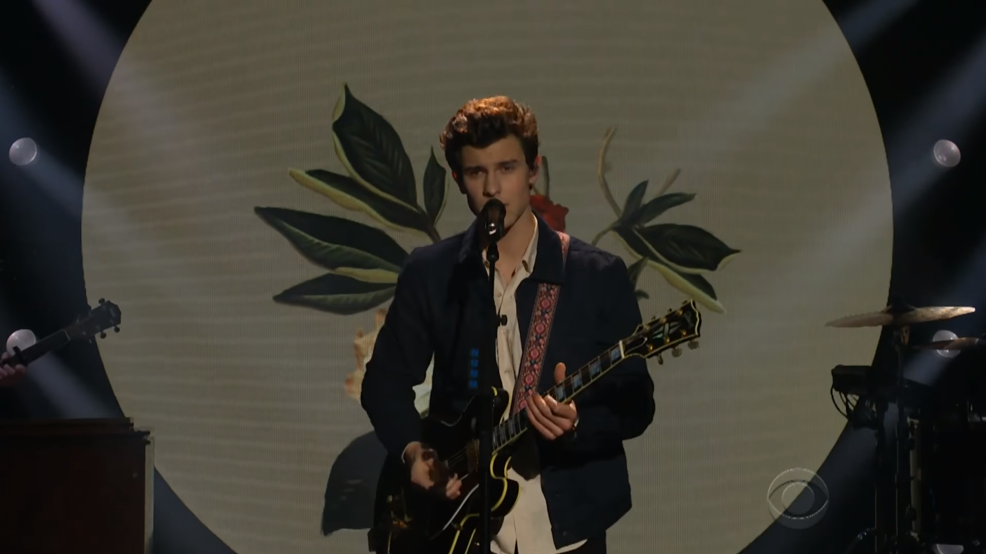 Shawn Mendes Faz Primeira Performance De In My Blood Na TV | Capricho