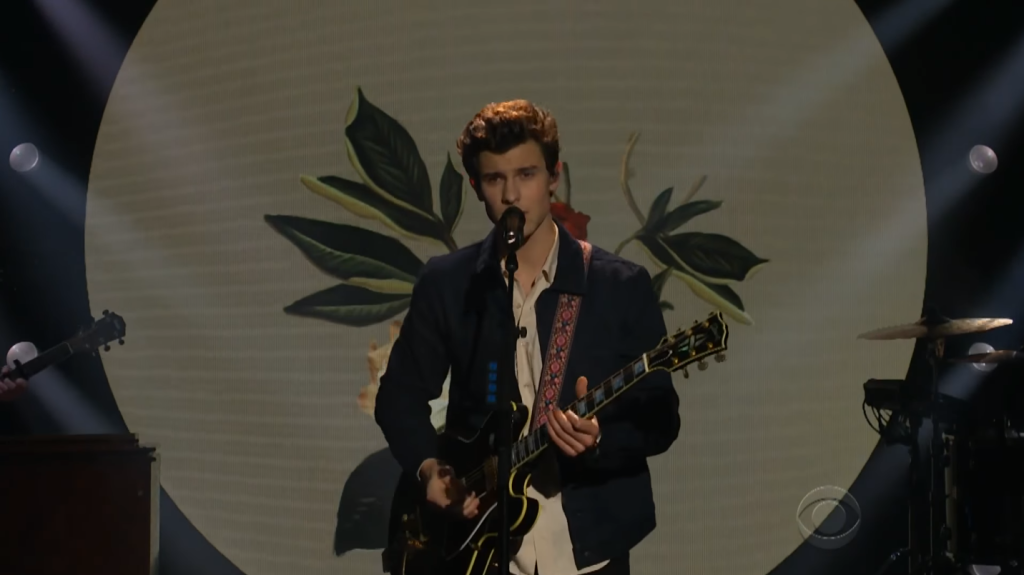 shawn-mendes-performance-in-my-blood