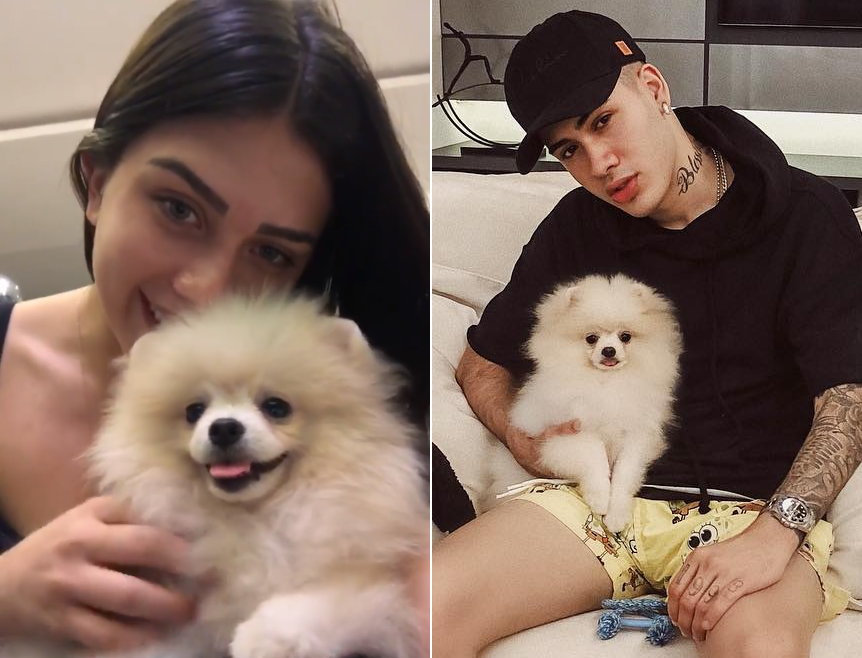 flavia-pavanelli-responde-criticas-comprar-cachorro-kevinho