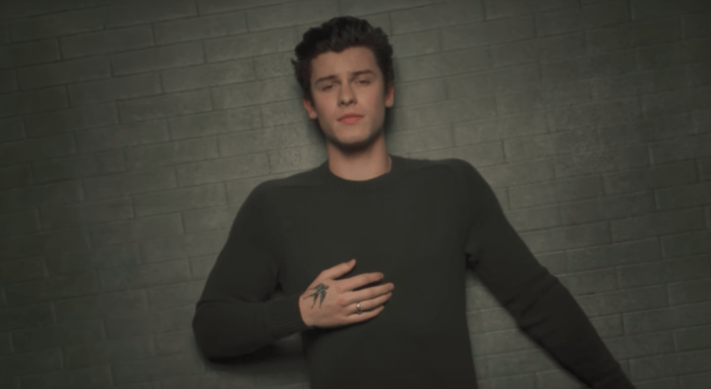 shawn-mendes-in-my-blood-clipe