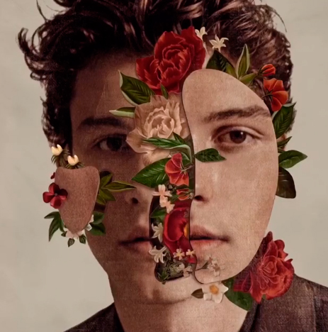 Capa Do Novo Lbum De Shawn Mendes Inspira Maquiagem De F Oi Capricho   Shawn Mendes The Album 