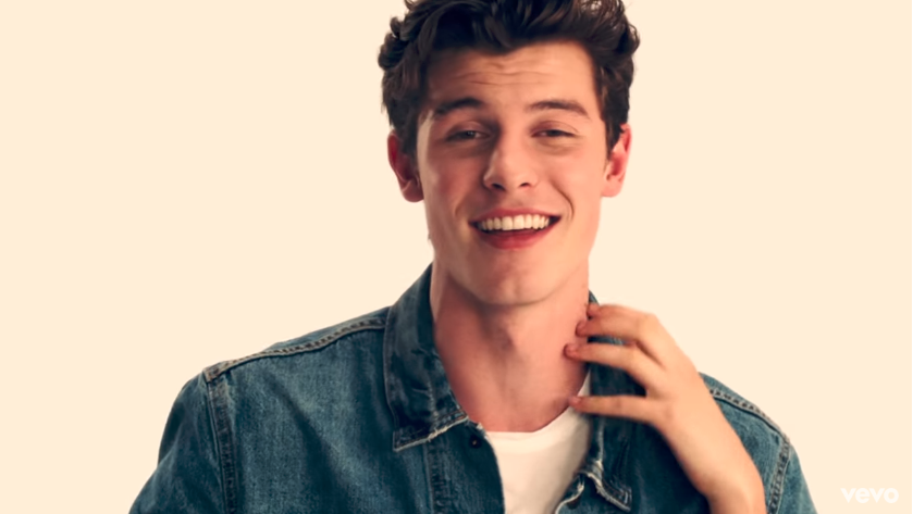 shawn-mendes-cantor