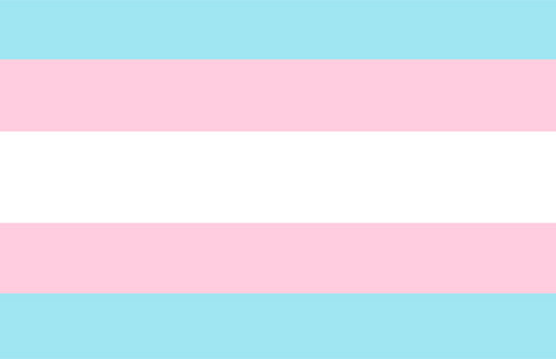 Bandeira do Orgulho Trans | Orgulho Transexual