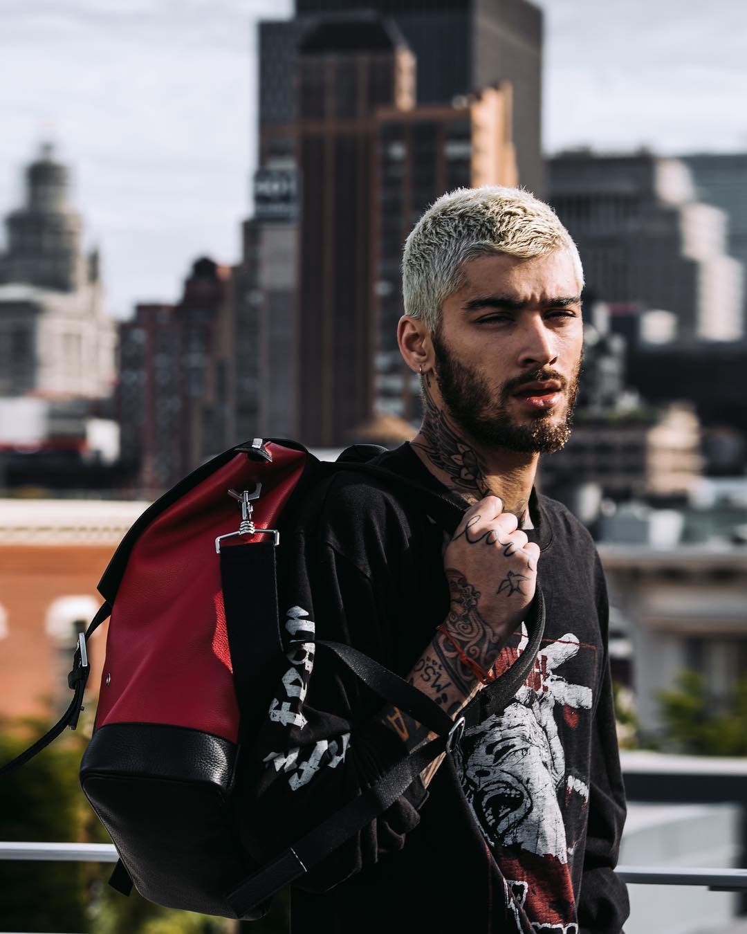 zayn zayn