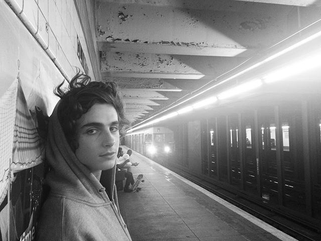 timothee-chalamet