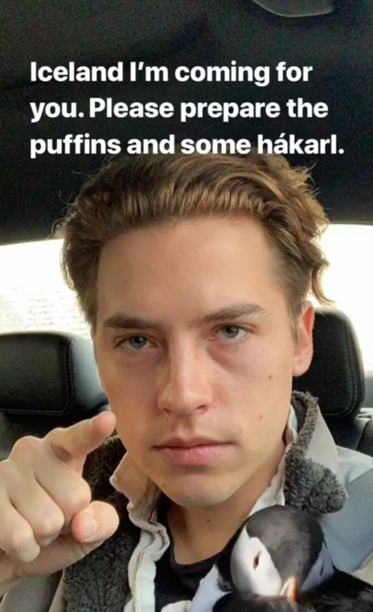 cole-sprouse-loiro cole-sprouse-loiro