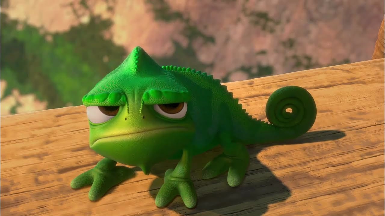 pascal-enrolados