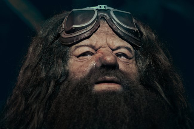 Universal Orlando divulga mais imagens da nova atração e já dá pra ver o Hagrid!