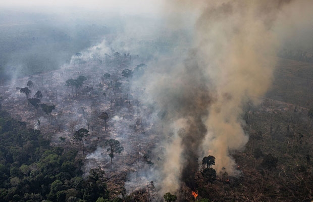 Governo Bolsonaro rejeita ajuda de US$ 20 milhões para Amazônia