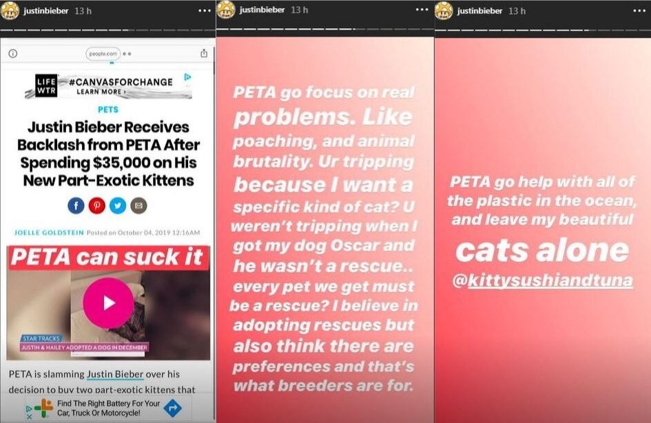 justin-bieber-rebate-criticas-sobre-gatos justin-bieber-rebate-criticas-sobre-gatos
