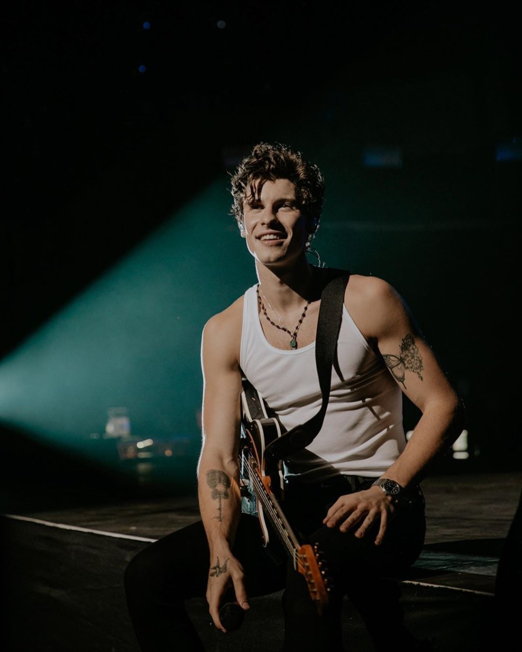 Shawn Mendes