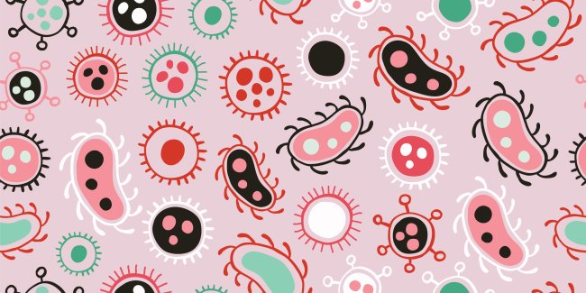 Saiba como aumentar a imunidade do organismo em tempos de pandemia