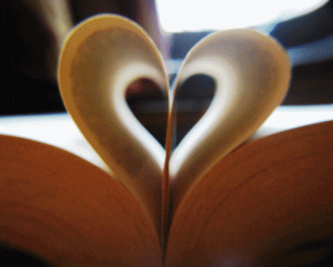 gif de duas páginas de livros dobradas, formando um coração