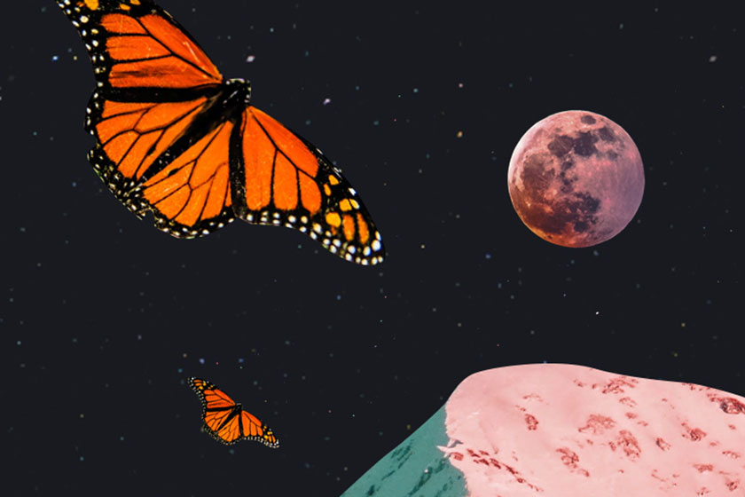 ilustração de lua, planetas e borboletas horoscopo