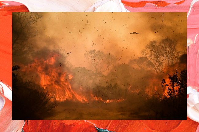 Pantanal