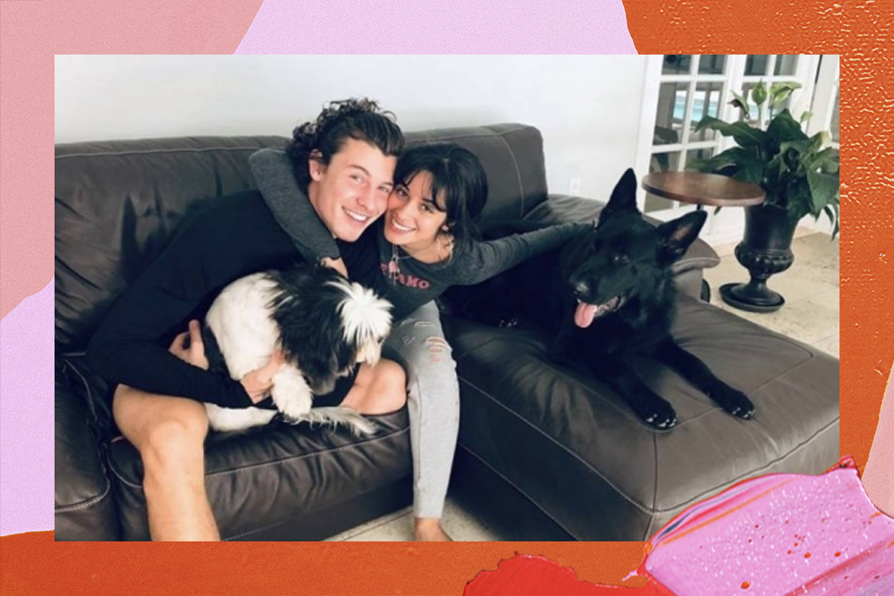 Camila e Shawn estão abraçados em um sofá com dois cachorros ao lado.