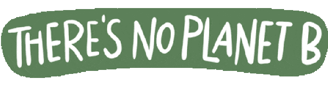 there is no planet b Retrospectiva CH: 2020, o ano em que a natureza nos deu um ultimato