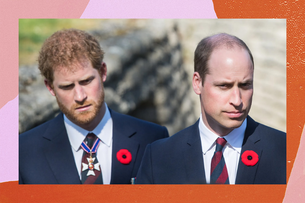 Príncipe Harry e Príncipe William com expressões neutras