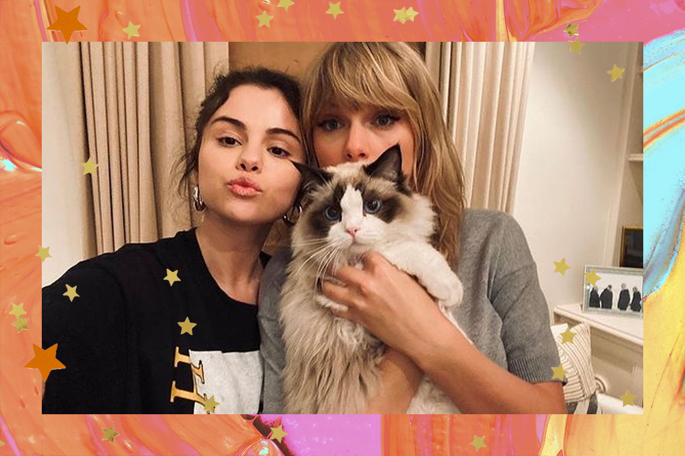 Selena Gomez fazendo biquinho ao lado de Taylor Swift, que está segurando um gato