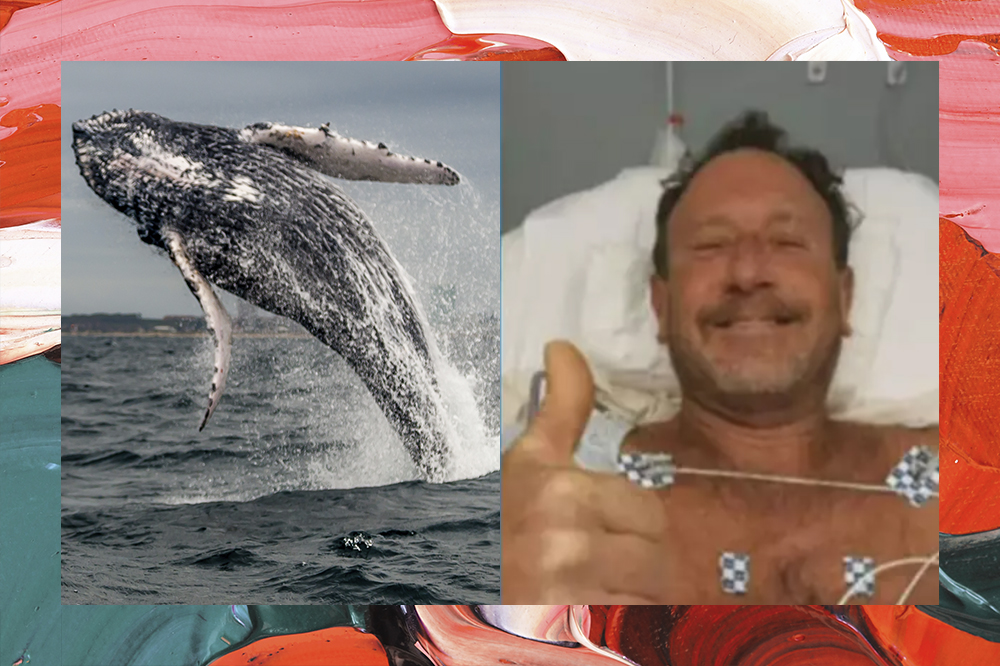 Colagem com duas imagens. Na primeira, está uma baleia Jubarte saltando no ar. Na segunda o mergulhador Michael Packard sorri, deitado em uma cama no hospital.