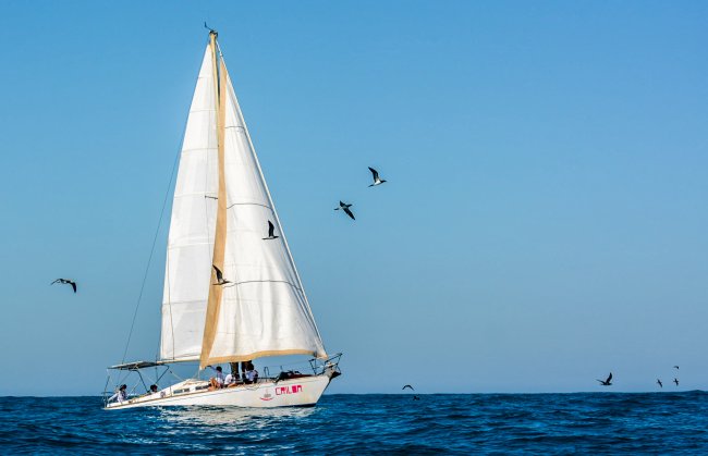 Imagem de um barco a vela chamado Criloa. Ele está em alto mar e passarinhos voam perto dele.