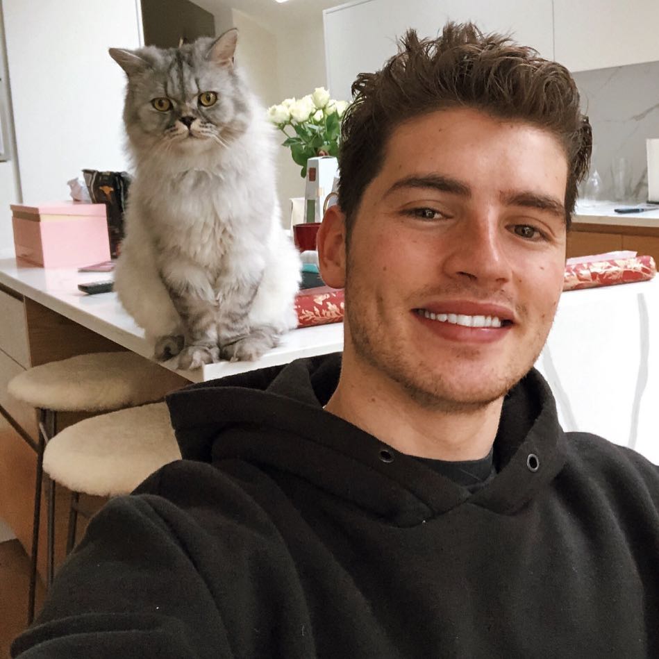 gregg sulkin Gregg Sulkin posando para foto com gatinho branco e cinza; o ator está sorrindo e usando um moletom preto