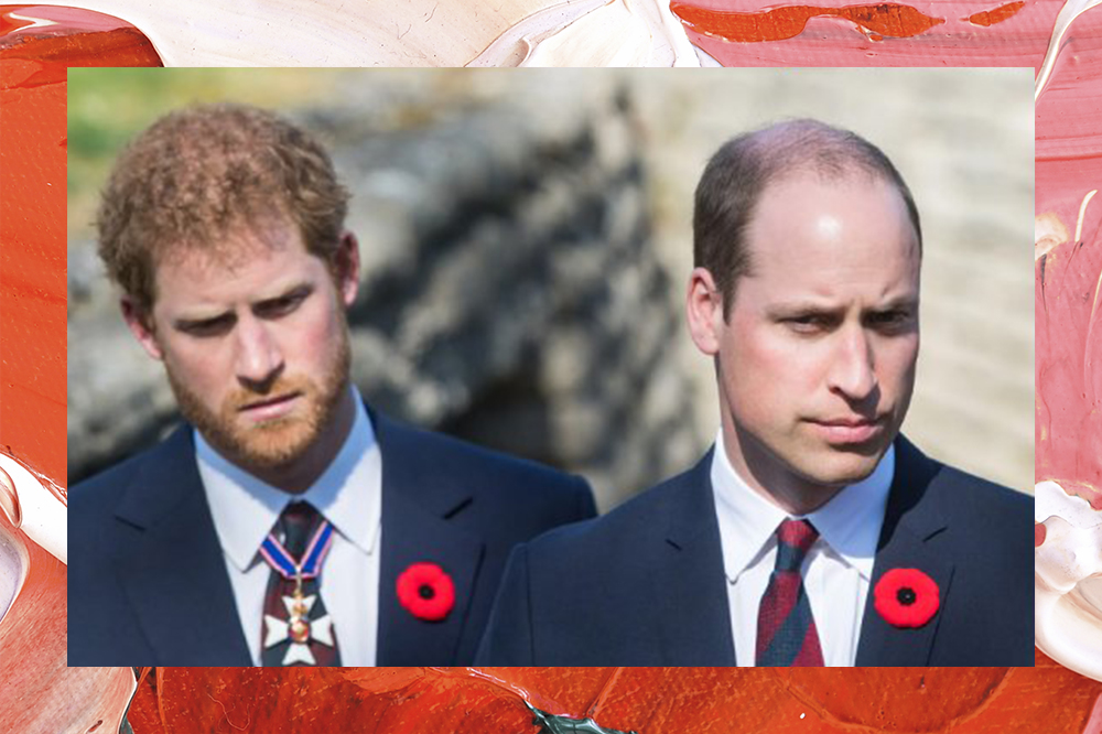 Príncipe Harry e Príncipe William com expressões neutras