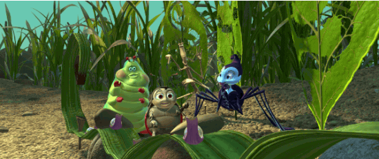 Uma lagarta, um besouro, uma aranha e um bicho-pau fazem pose junto no meio da grama